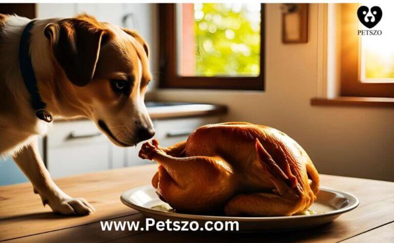"A curious dog closely inspecting a freshly roasted whole chicken on a dining table, highlighting the risks, benefits, and safety concerns of feeding cooked chicken to dogs."