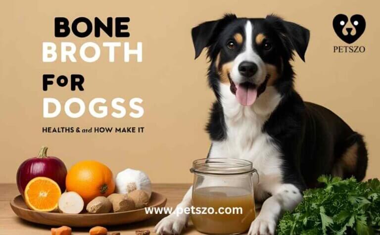 Bone broth for dogs, showcasing health benefits and ingredients like vegetables and herbs, along with a step-by-step guide on how to make it"